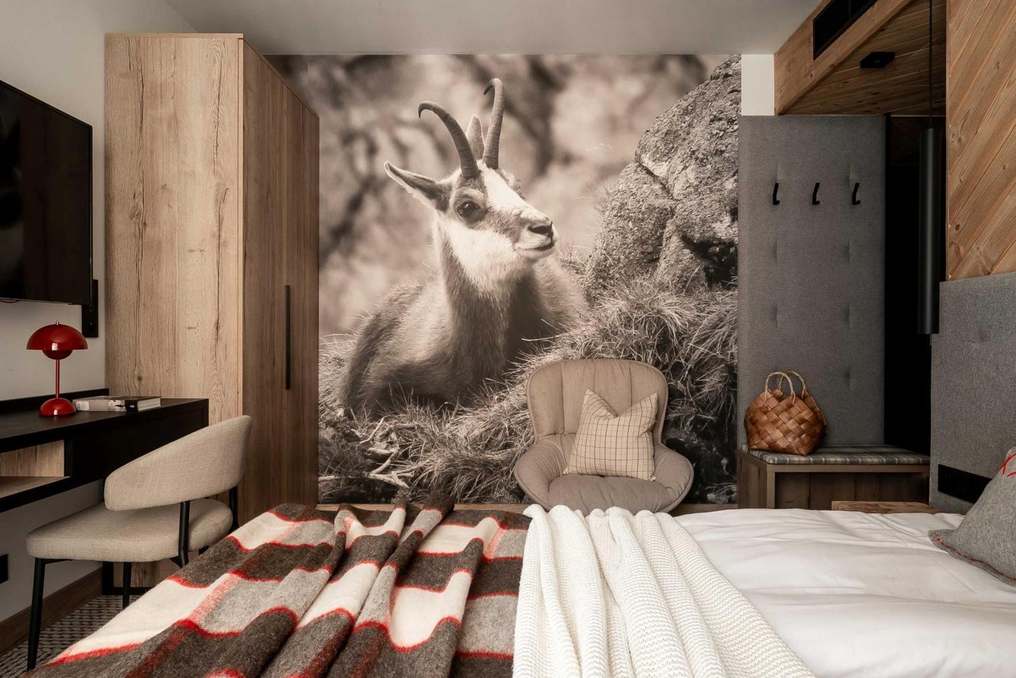 Stefanova Zakopane Aparthotel & Spa Ngoại thất bức ảnh